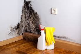 Best Biohazard Mold Removal  in Littlerock, CA